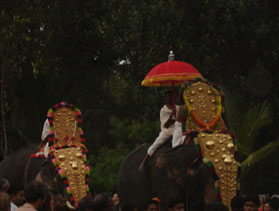 Kerala, festa degli elefanti