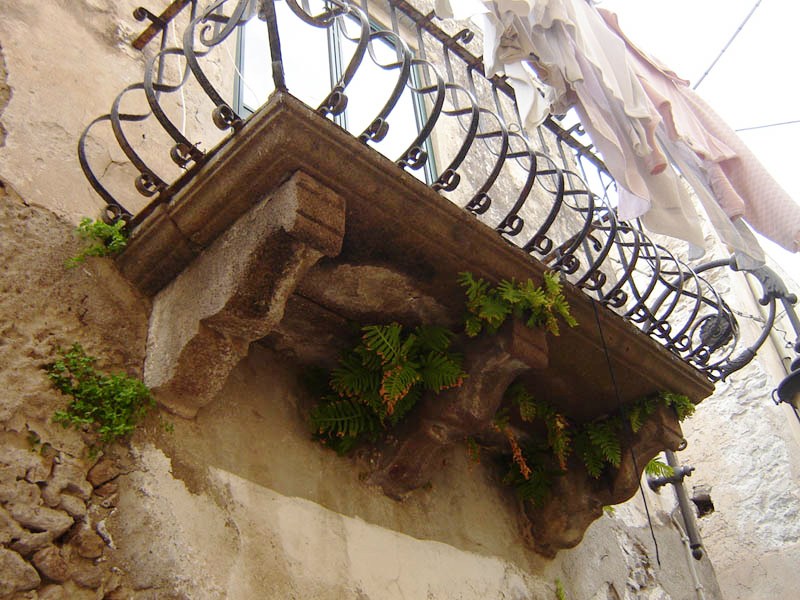 Lipari, verde sotto il balcone